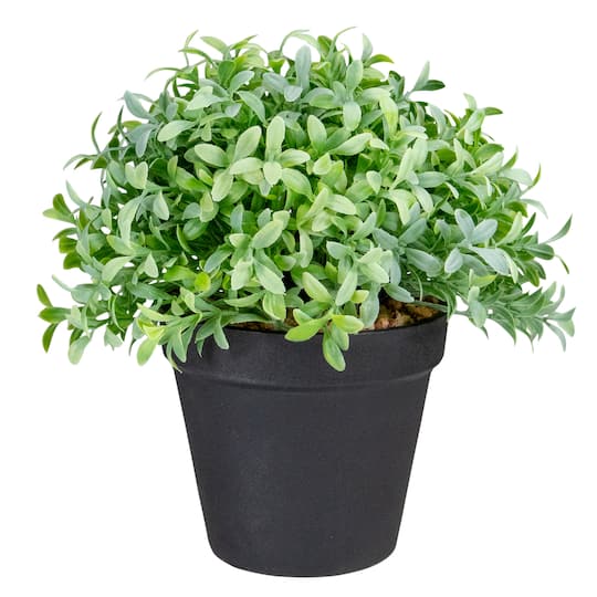 7.5" Potted Green Boxwood Plant By Northlight | Michaels®